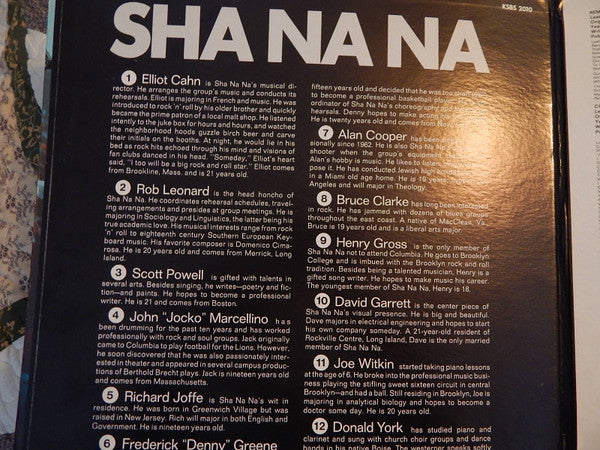 Sha Na Na : Rock & Roll Is Here To Stay (LP, Gat)