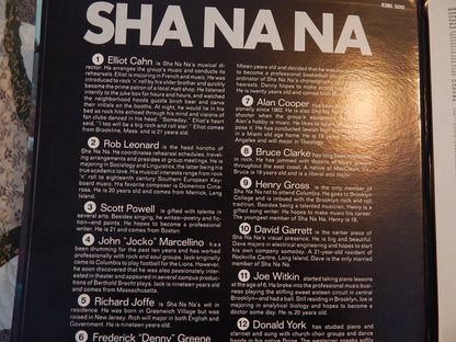Sha Na Na : Rock & Roll Is Here To Stay (LP, Gat)