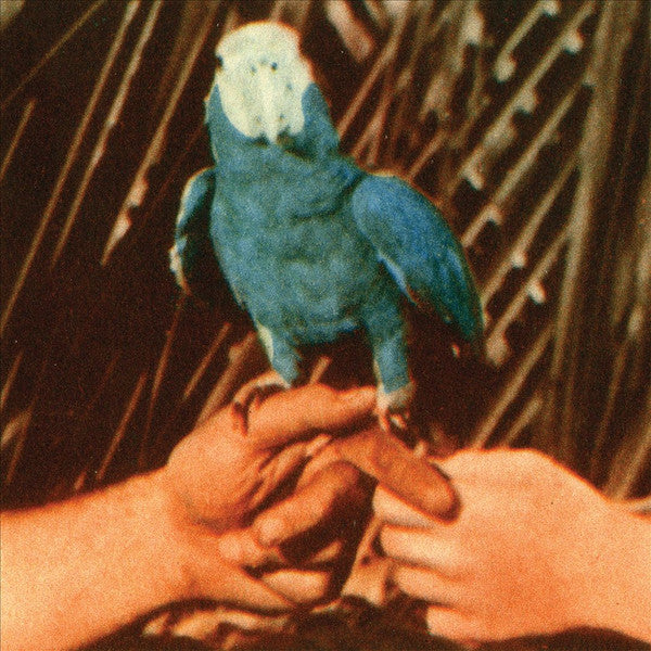 Andrew Bird : Are You Serious (CD, Album)