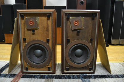 Advent The Advent LoudSpeaker * Fried Egg * Refoamed 6/26 *