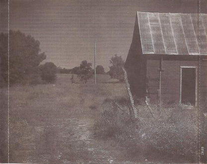 Jerry Cantrell : Boggy Depot (CD, Album)