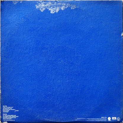 Nitzinger* : One Foot In History (LP, Album, Gat)