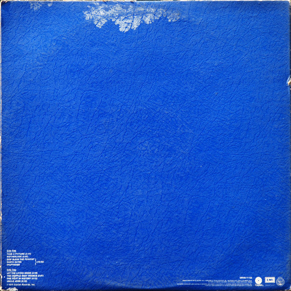 Nitzinger* : One Foot In History (LP, Album, Gat)