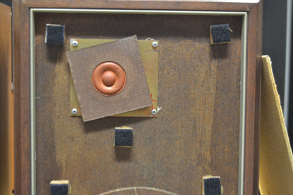 Advent The Advent LoudSpeaker * Fried Egg * Refoamed 6/26 *
