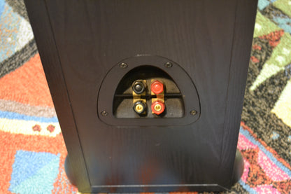 Klipsch Synergy F2 Floorstander Black - Naked Grills