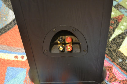 Klipsch Synergy F2 Floorstander Black - Naked Grills