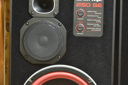 Cerwin Vega 250SE Floor Standing Speakers * NEW Woofer Foams
