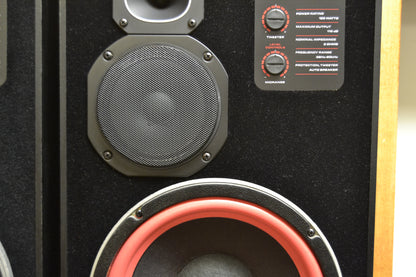 Cerwin Vega 250SE Floor Standing Speakers * NEW Woofer Foams