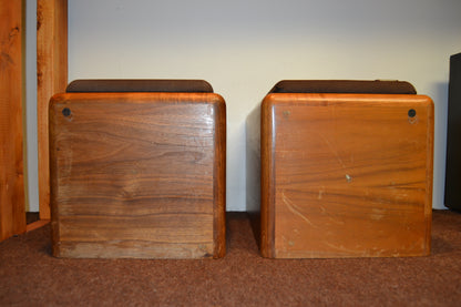 Paisley Research AE 1ax  Bookshelf Speakers * Fully Serviced