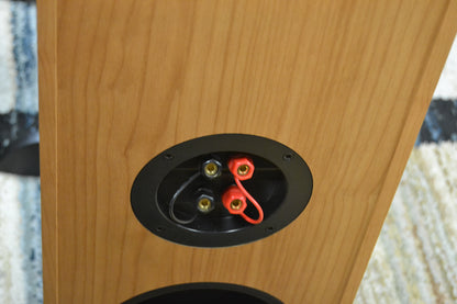 Klipsch RF25 Cherry * Floor Standing Speakers * Fully Serviced *