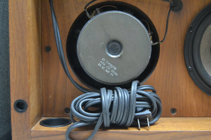 Audio PRO B2-50 Powered Subwoofer * Made in Sweden * Fully Serviced