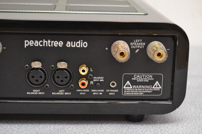 Peachtree Audio amp500 Power Amplifier * 500W RMS