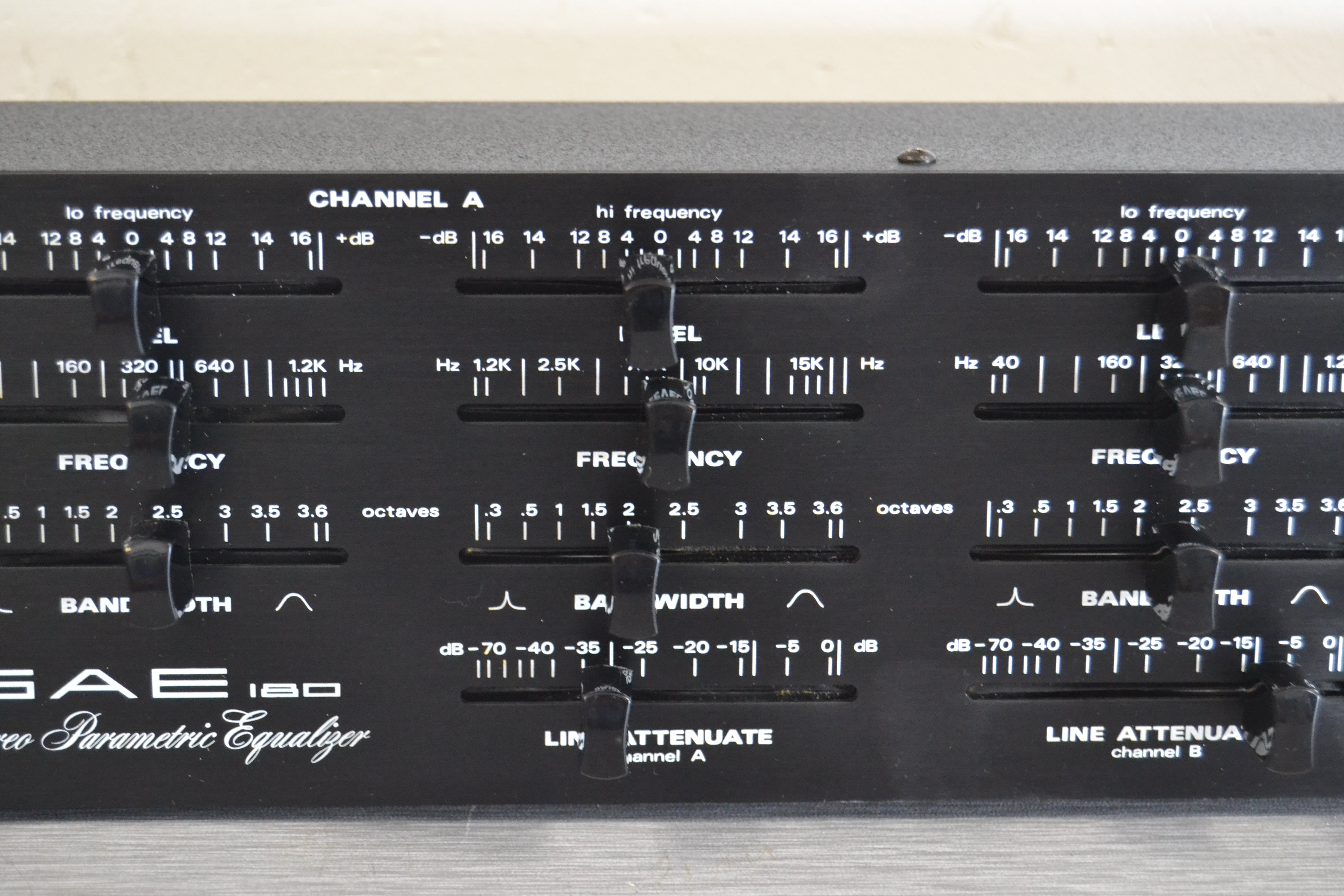 ミュージック s.a SEAGULL by M.Shiozaki SD-80 S/N:0041 シーガル バイ エム