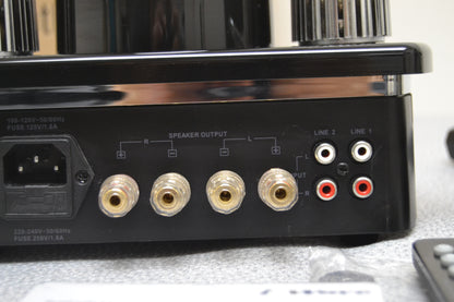 Fatman Wi Tube Amplifier * Ipod Dock * Bluetooth Adapter * Remote