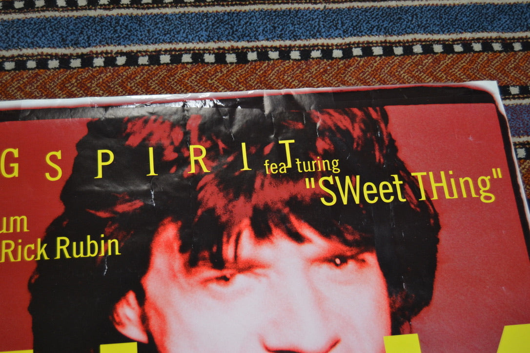 Mick Jagger Spirit Poster 24x36 inch