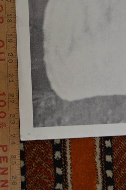 Rage Against the Machine Bullet in the Head Poster 25x35 inch