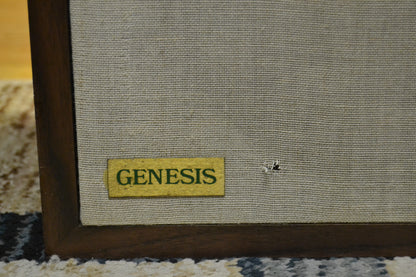 Genesis Physics Model II Floor Standing Speakers * New Foams 7/26 * Fully Serviced