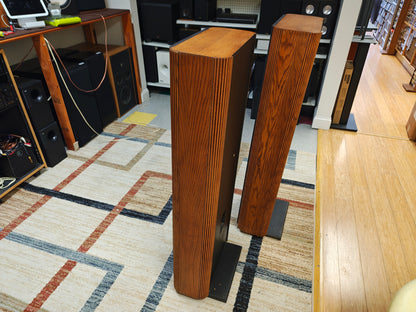 Infinity RS-IIIa Floor Standing Speakers * New Foams *