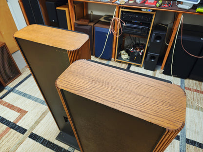 Infinity RS-IIIa Floor Standing Speakers * New Foams *
