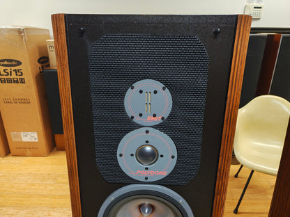 Infinity RS-IIIa Floor Standing Speakers * New Foams *