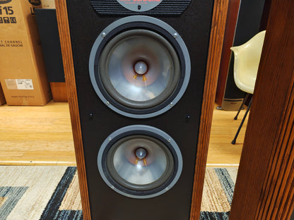Infinity RS-IIIa Floor Standing Speakers * New Foams *