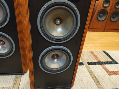 Infinity RS-IIIa Floor Standing Speakers * New Foams *