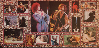 Barbra Streisand & Kris Kristofferson : A Star Is Born (LP, Album, Gat)