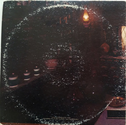 Sandy Denny : The North Star Grassman And The Ravens (LP, Album, Ter)