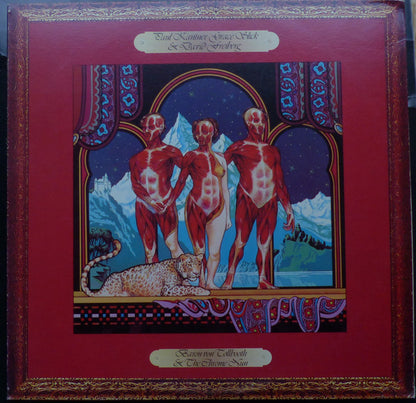 Paul Kantner, Grace Slick & David Freiberg : Baron Von Tollbooth & The Chrome Nun (LP, Album, Ind)