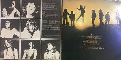 Pollution (3) : Pollution (LP, Promo, RI )