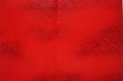 Jimmy Page & Robert Plant : No Quarter (Unledded) (DVD-V, RE, Multichannel, NTSC)