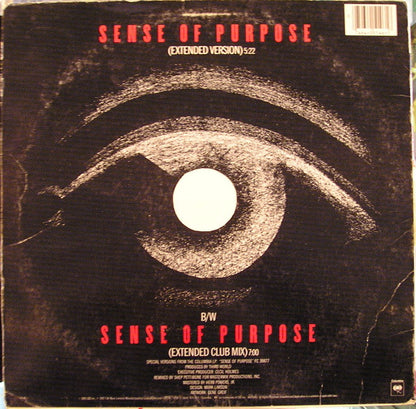 Third World : Sense Of Purpose (12", Single)