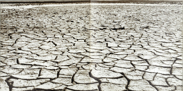 The Beach Boys : Surf's Up (LP, Album, San)