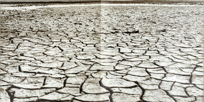 The Beach Boys : Surf's Up (LP, Album, San)