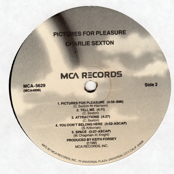 Charlie Sexton : Pictures For Pleasure (LP, Album, Pin)