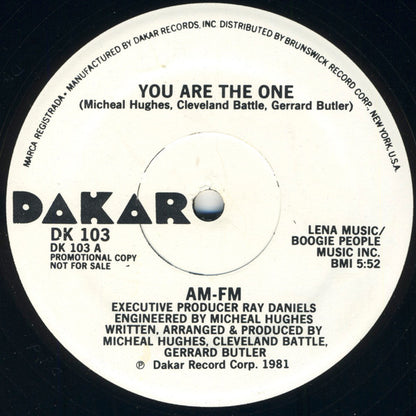 AM-FM : You Are The One (12", Promo)