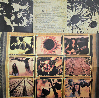 Tracy Chapman : New Beginning (CD, Album)