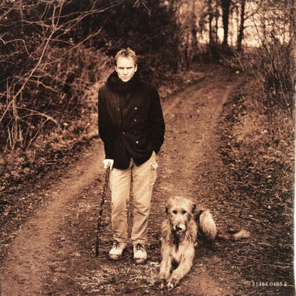 Sting : Mercury Falling (CD, Album, Club)