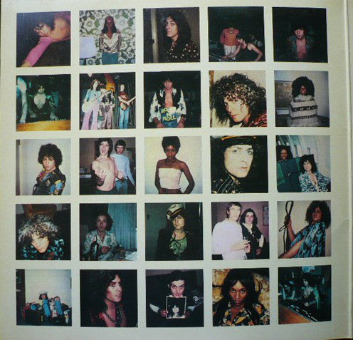 Marc Bolan & T. Rex : Zinc Alloy And The Hidden Riders Of Tomorrow - A Creamed Cage In August (LP, Album)