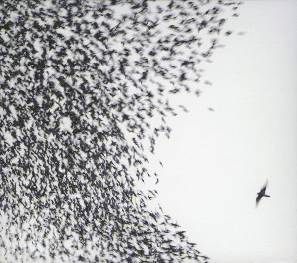 Wilco : Sky Blue Sky (Album, Dlx + CD, Enh + DVD)