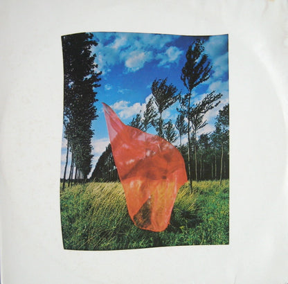 Pink Floyd : Wish You Were Here (LP, Album, RE, Car)