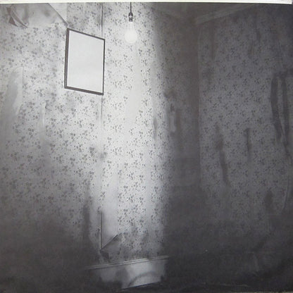 Richard & Linda Thompson : Shoot Out The Lights (LP, Album, Hub)