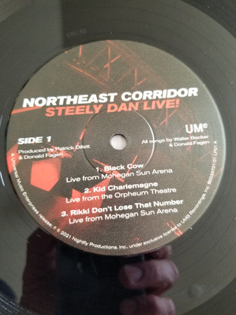 Steely Dan レコード 33 1/3 - Steely Dan's 