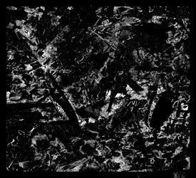 Shelf Life : Ductworks (CD, Album)