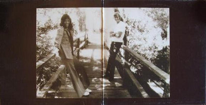 Carpenters : The Singles 1969-1973 (LP, Comp, Club, RE, Ind)