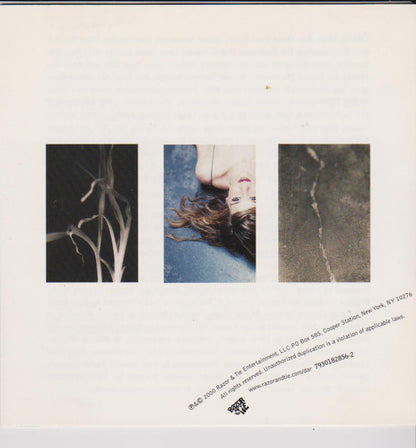 Dar Williams : The Green World (CD, Album)