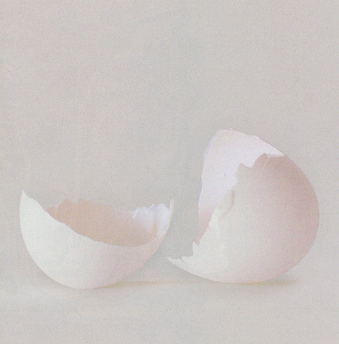 Wilco : A Ghost Is Born (CD, Album, Dig)