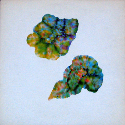 King Crimson : Islands (LP, Album)