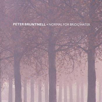 Peter Bruntnell : Normal For Bridgwater (CD, Album)