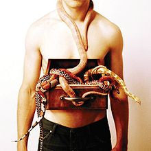 Chasing Victory : I Call This Abandonment (CD, Album)